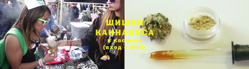 Канабис SATIVA & INDICA  Краснозаводск 